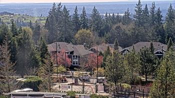 Weather camera view of Open Window School 1200 ft elev Cougar Mtn.