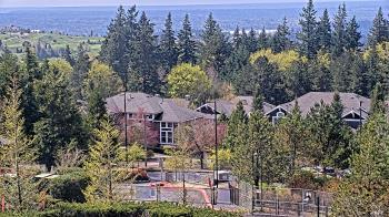 Weather camera view of Open Window School 1200 ft elev Cougar Mtn.