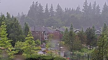 Weather camera view of Open Window School 1200 ft elev Cougar Mtn.