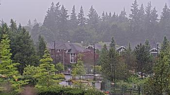Weather camera view of Open Window School 1200 ft elev Cougar Mtn.