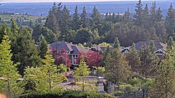 Weather camera view of Open Window School 1200 ft elev Cougar Mtn.