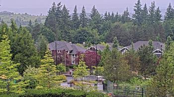 Weather camera view of Open Window School 1200 ft elev Cougar Mtn.