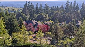 Weather camera view of Open Window School 1200 ft elev Cougar Mtn.