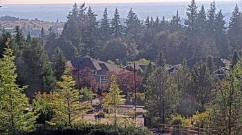 Weather camera view of Open Window School 1200 ft elev Cougar Mtn.