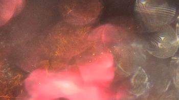 Weather camera view of Bristol Motor Speedway.