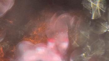 Weather camera view of Bristol Motor Speedway.