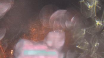 Weather camera view of Bristol Motor Speedway.