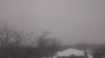 Weather camera view of St Ambrose School.