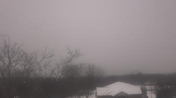 Weather camera view of St Ambrose School.