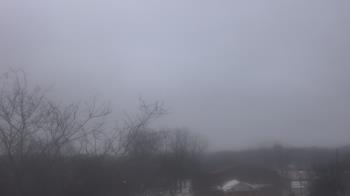 Weather camera view of St Ambrose School.