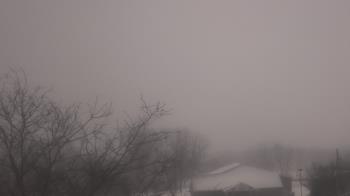 Weather camera view of St Ambrose School.