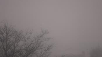 Weather camera view of St Ambrose School.