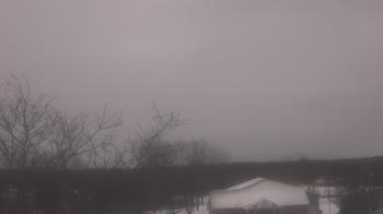 Weather camera view of St Ambrose School.