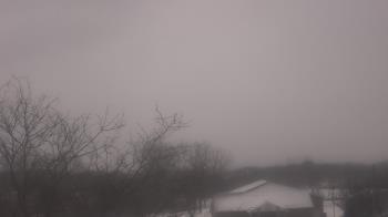 Weather camera view of St Ambrose School.