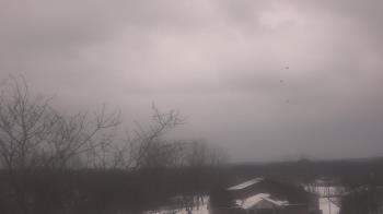 Weather camera view of St Ambrose School.