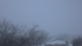 Weather camera view of St Ambrose School.