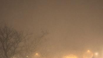 Weather camera view of St Ambrose School.