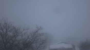 Weather camera view of St Ambrose School.