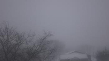 Weather camera view of St Ambrose School.