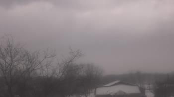 Weather camera view of St Ambrose School.