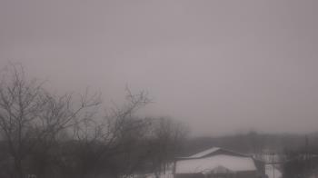 Weather camera view of St Ambrose School.