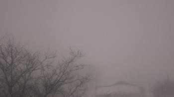 Weather camera view of St Ambrose School.