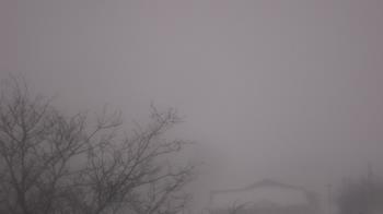 Weather camera view of St Ambrose School.