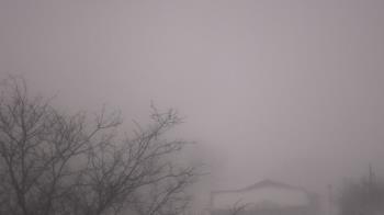 Weather camera view of St Ambrose School.