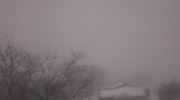 Weather camera view of St Ambrose School.