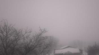 Weather camera view of St Ambrose School.