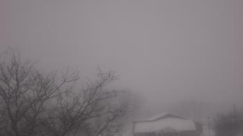 Weather camera view of St Ambrose School.