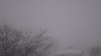 Weather camera view of St Ambrose School.