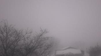 Weather camera view of St Ambrose School.