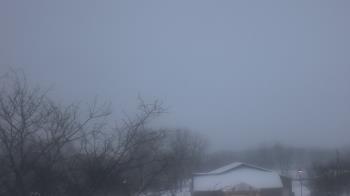 Weather camera view of St Ambrose School.