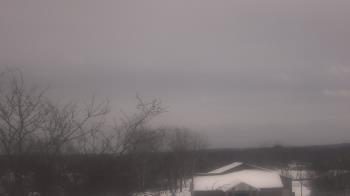 Weather camera view of St Ambrose School.