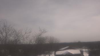 Weather camera view of St Ambrose School.