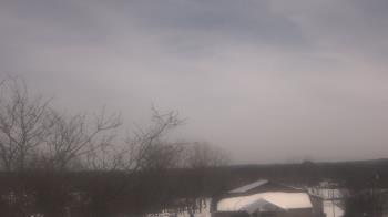 Weather camera view of St Ambrose School.