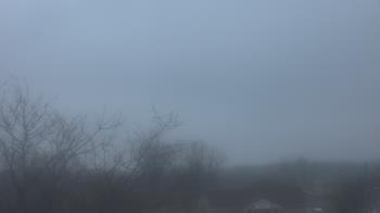 Weather camera view of St Ambrose School.