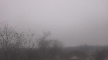 Weather camera view of St Ambrose School.