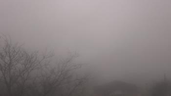 Weather camera view of St Ambrose School.