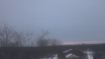 Weather camera view of St Ambrose School.