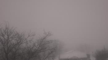 Weather camera view of St Ambrose School.