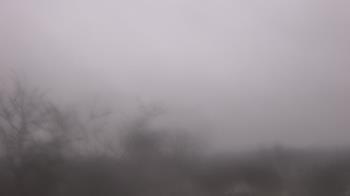 Weather camera view of St Ambrose School.