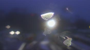 Weather camera view of Boone Scenic Valley Railroad.