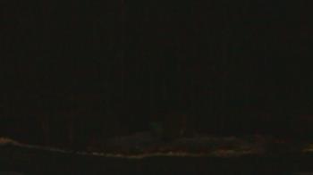 Weather camera view of John Dorr Nature Lab-Horace Mann School.