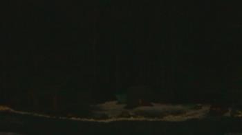 Weather camera view of John Dorr Nature Lab-Horace Mann School.