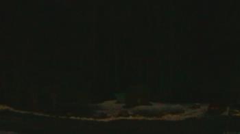 Weather camera view of John Dorr Nature Lab-Horace Mann School.