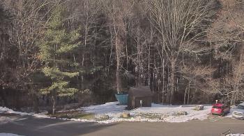 Weather camera view of John Dorr Nature Lab-Horace Mann School.