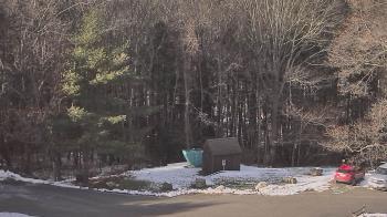 Weather camera view of John Dorr Nature Lab-Horace Mann School.