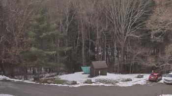 Weather camera view of John Dorr Nature Lab-Horace Mann School.
